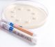 GENTAMICIN - 120MCG 